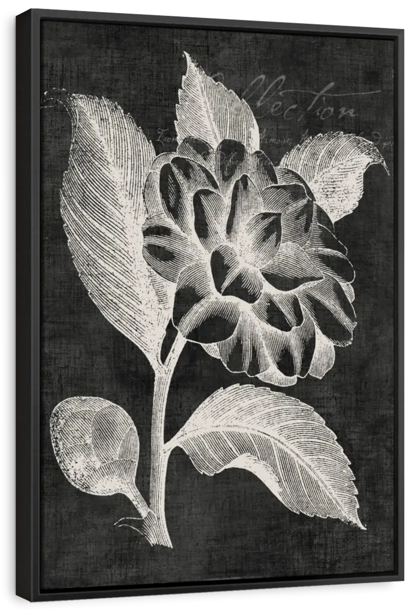 A Black Botanical II Wall Art