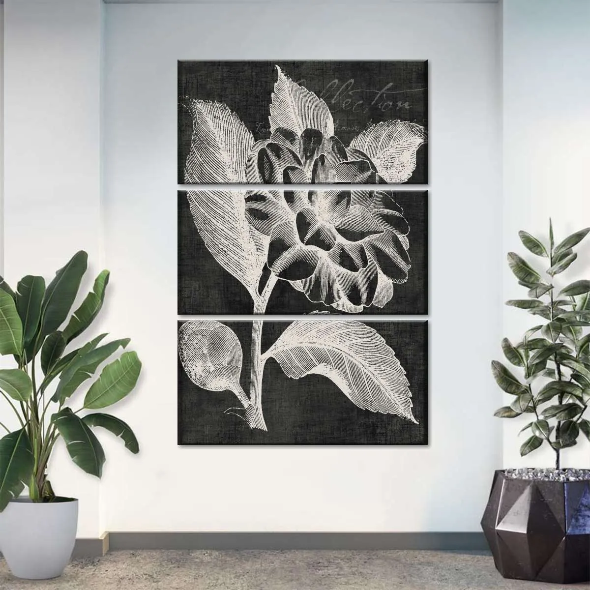 A Black Botanical II Wall Art