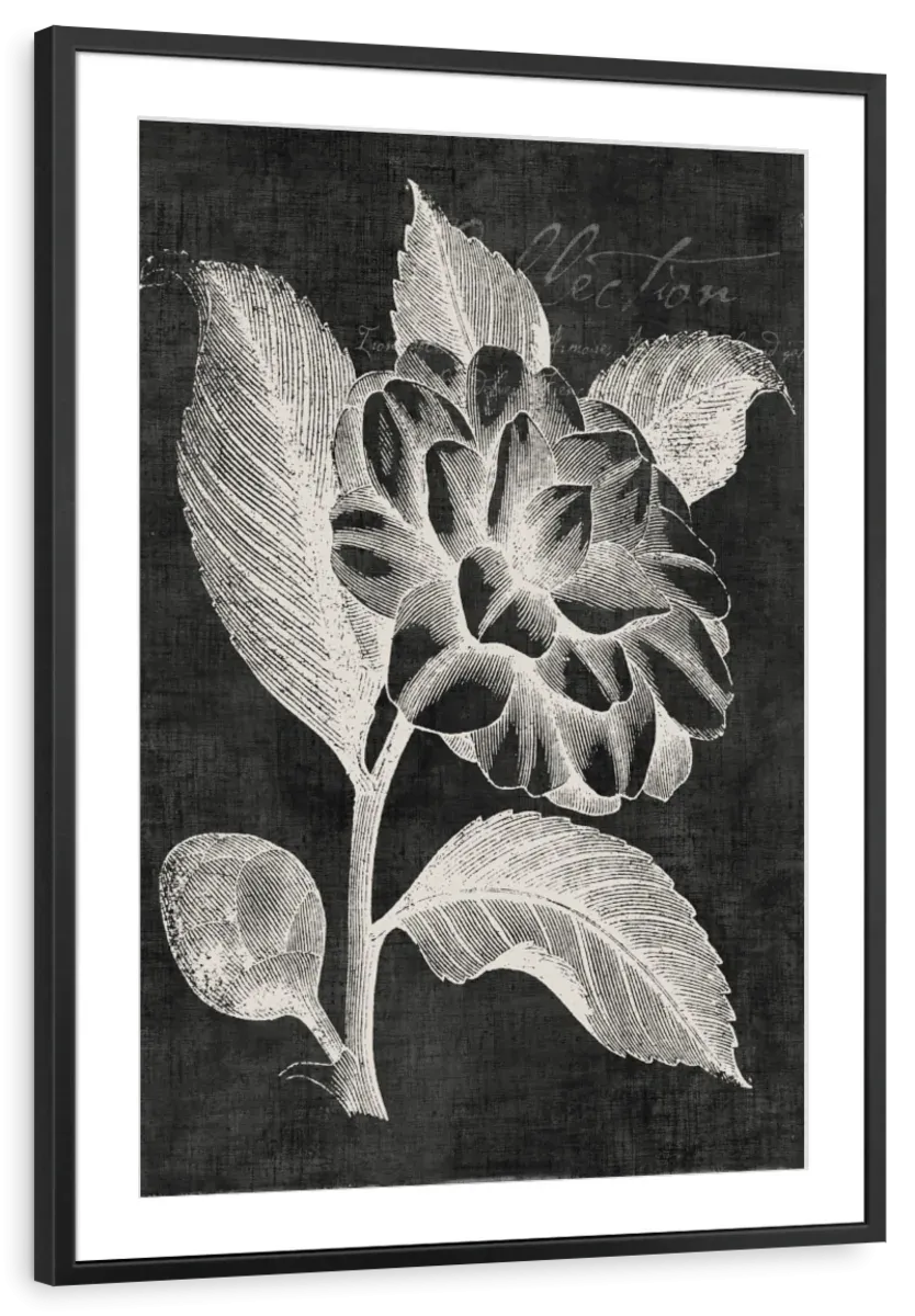 A Black Botanical II Wall Art