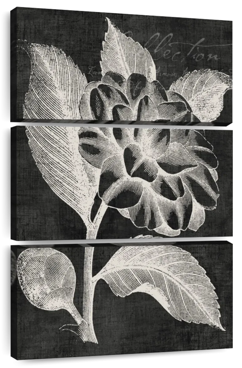 A Black Botanical II Wall Art