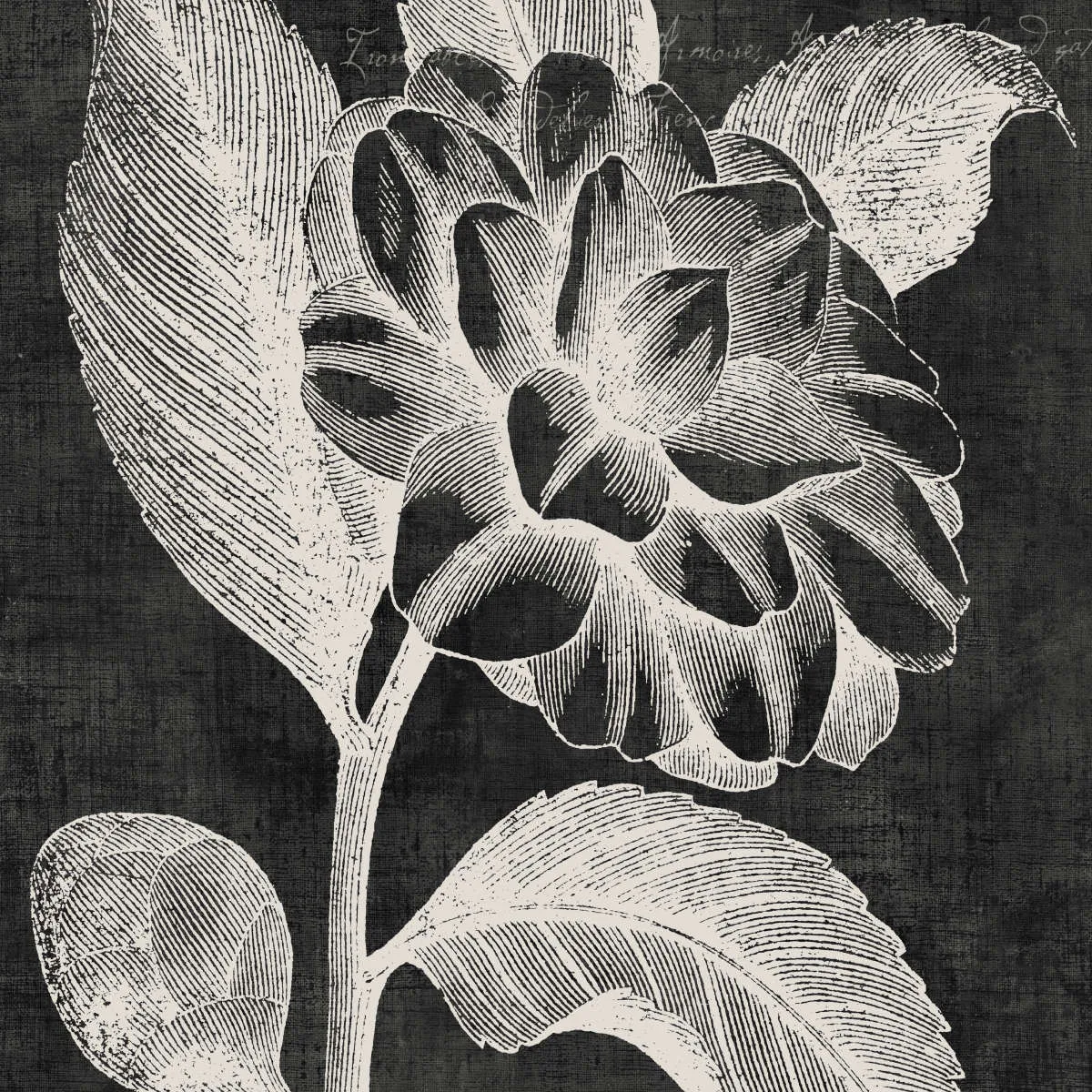 A Black Botanical II Wall Art