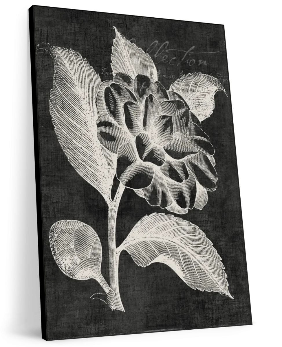 A Black Botanical II Wall Art