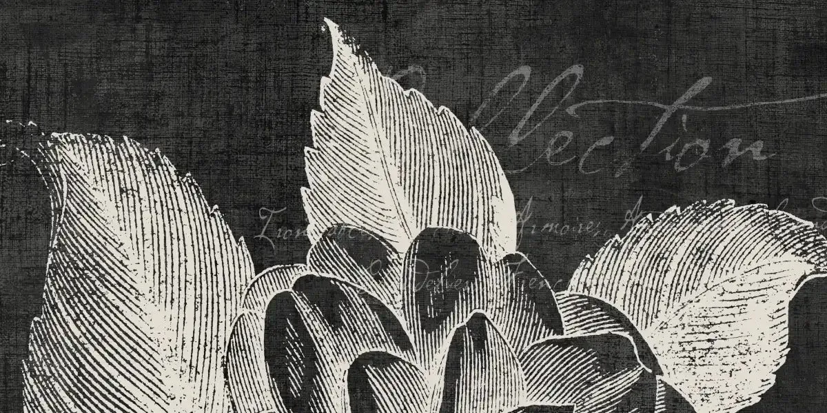 A Black Botanical II Wall Art