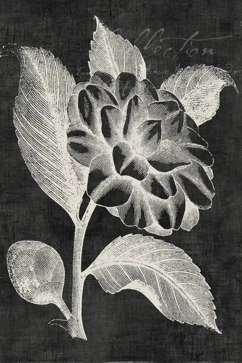 A Black Botanical II Wall Art