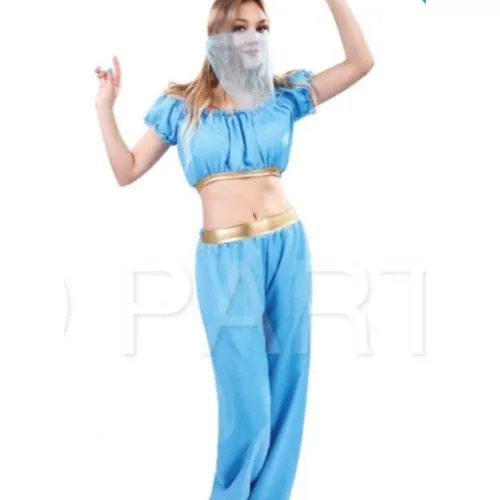 Elegant Blue Arabian Princess Adult Costume