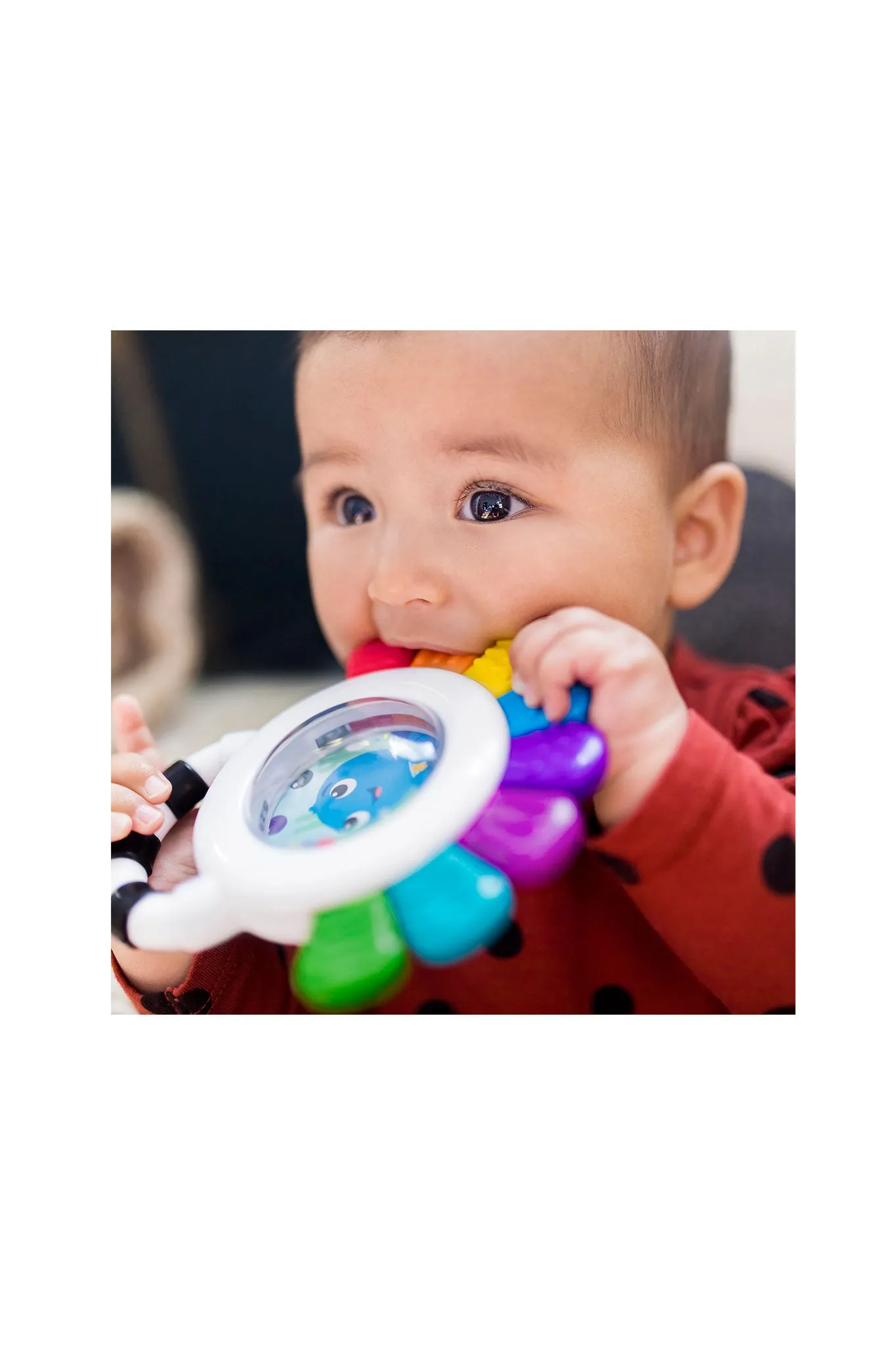 Baby Einstein Octopus Rattle & Teether Sensory