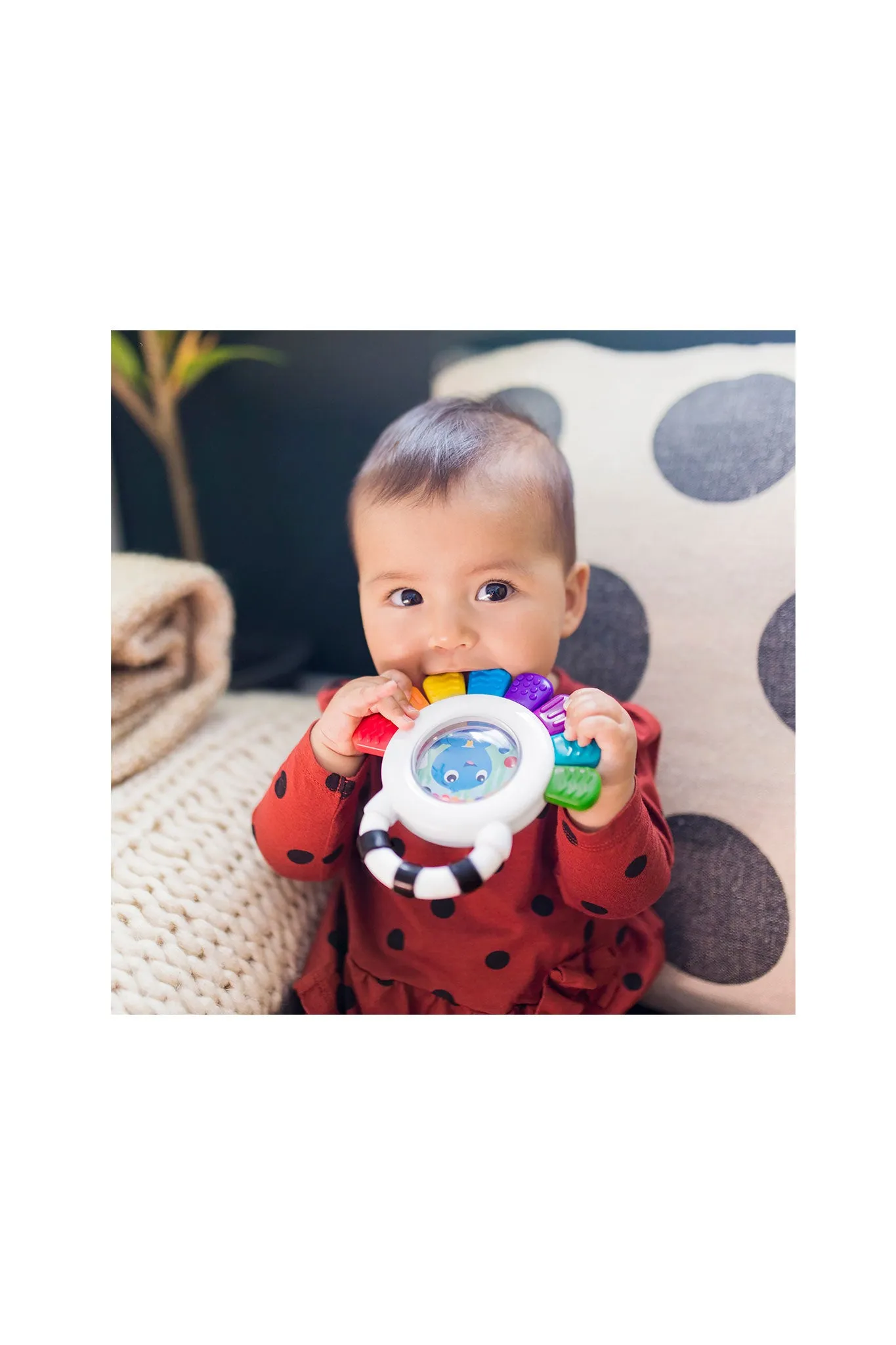 Baby Einstein Octopus Rattle & Teether Sensory