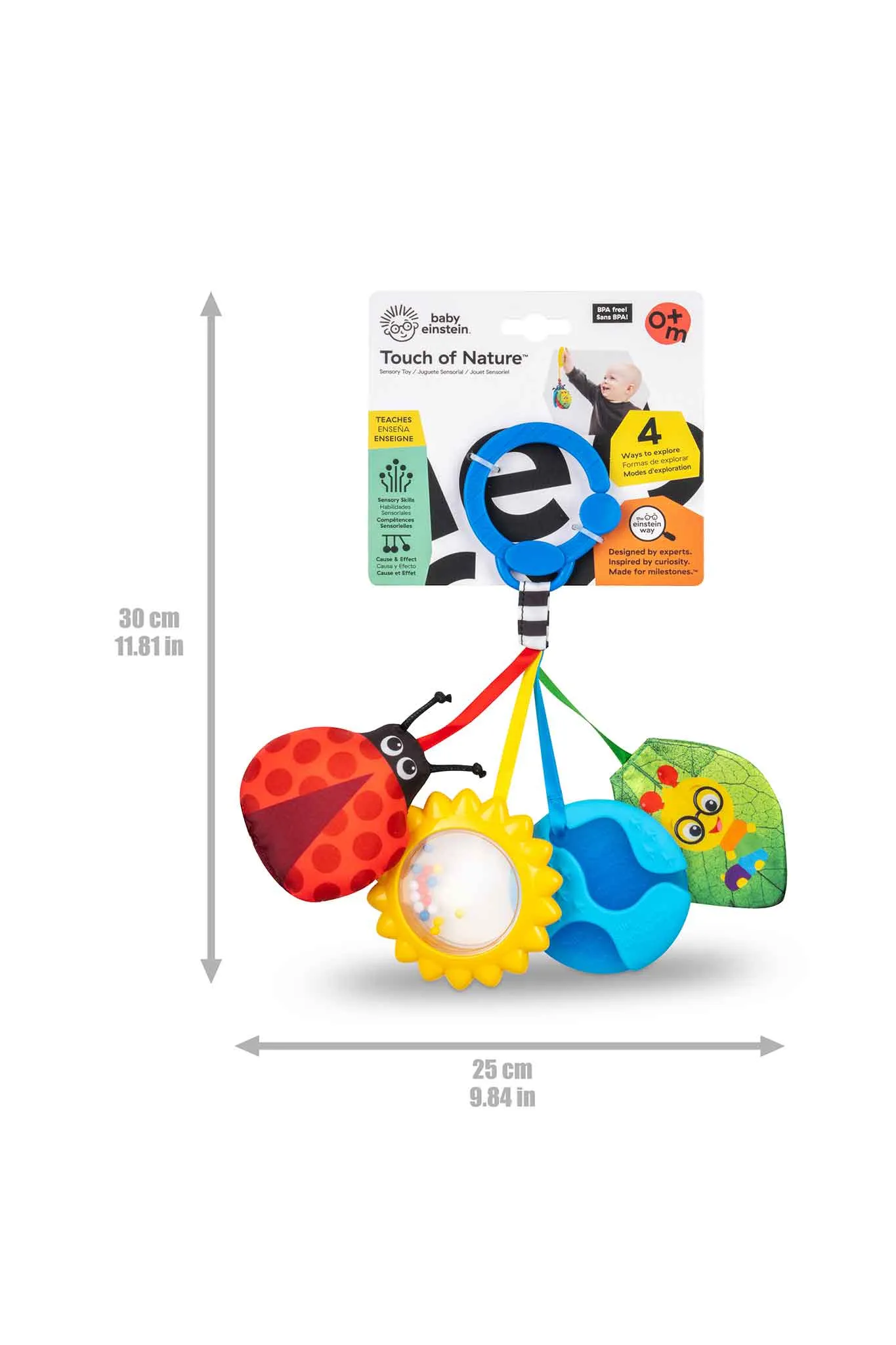 Baby Einstein Touch of Nature Sensory Toy