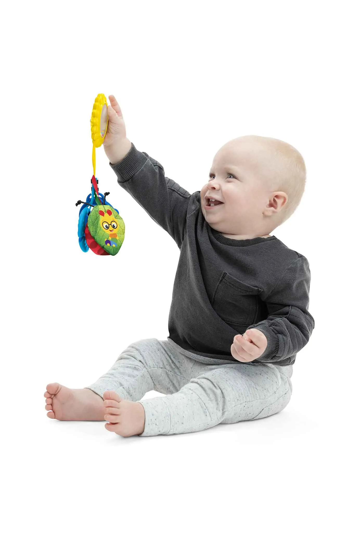 Baby Einstein Touch of Nature Sensory Toy