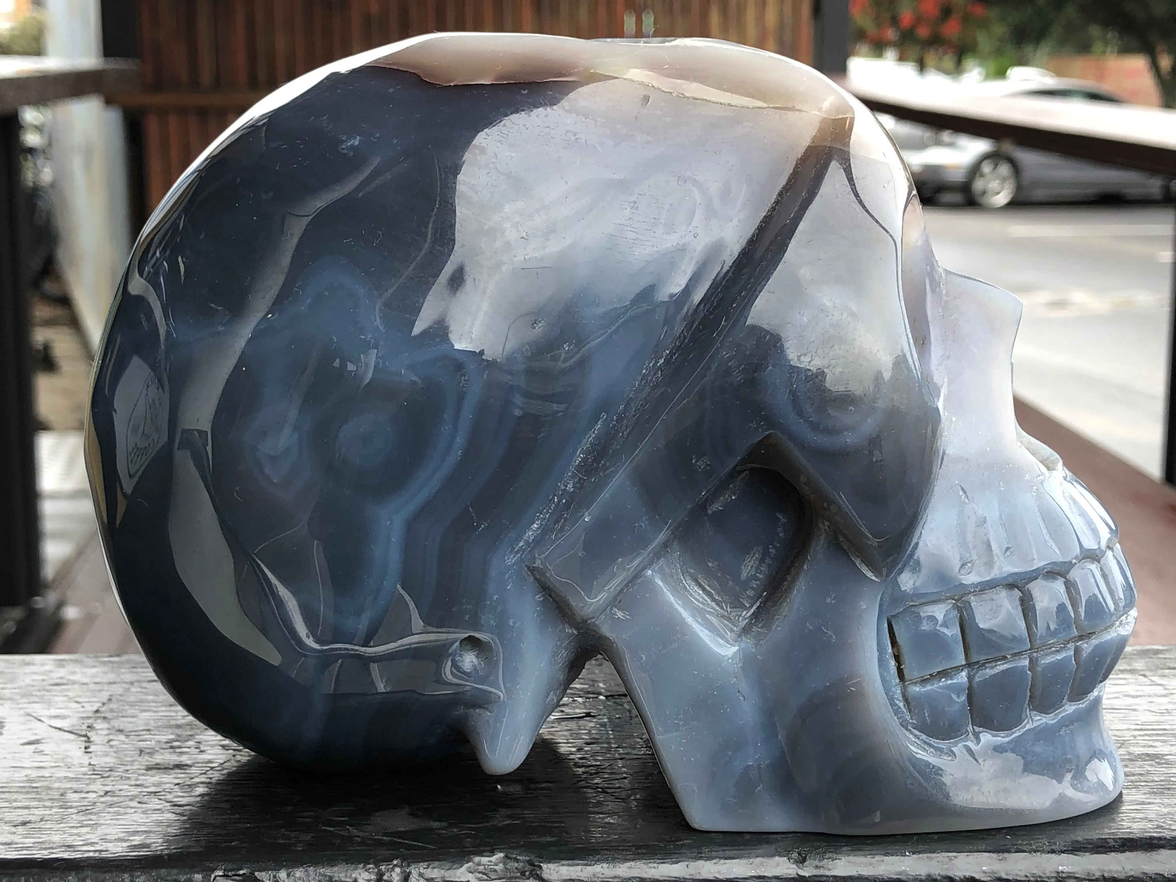 Blue Agate and Quartz Geode Skull [12T83]