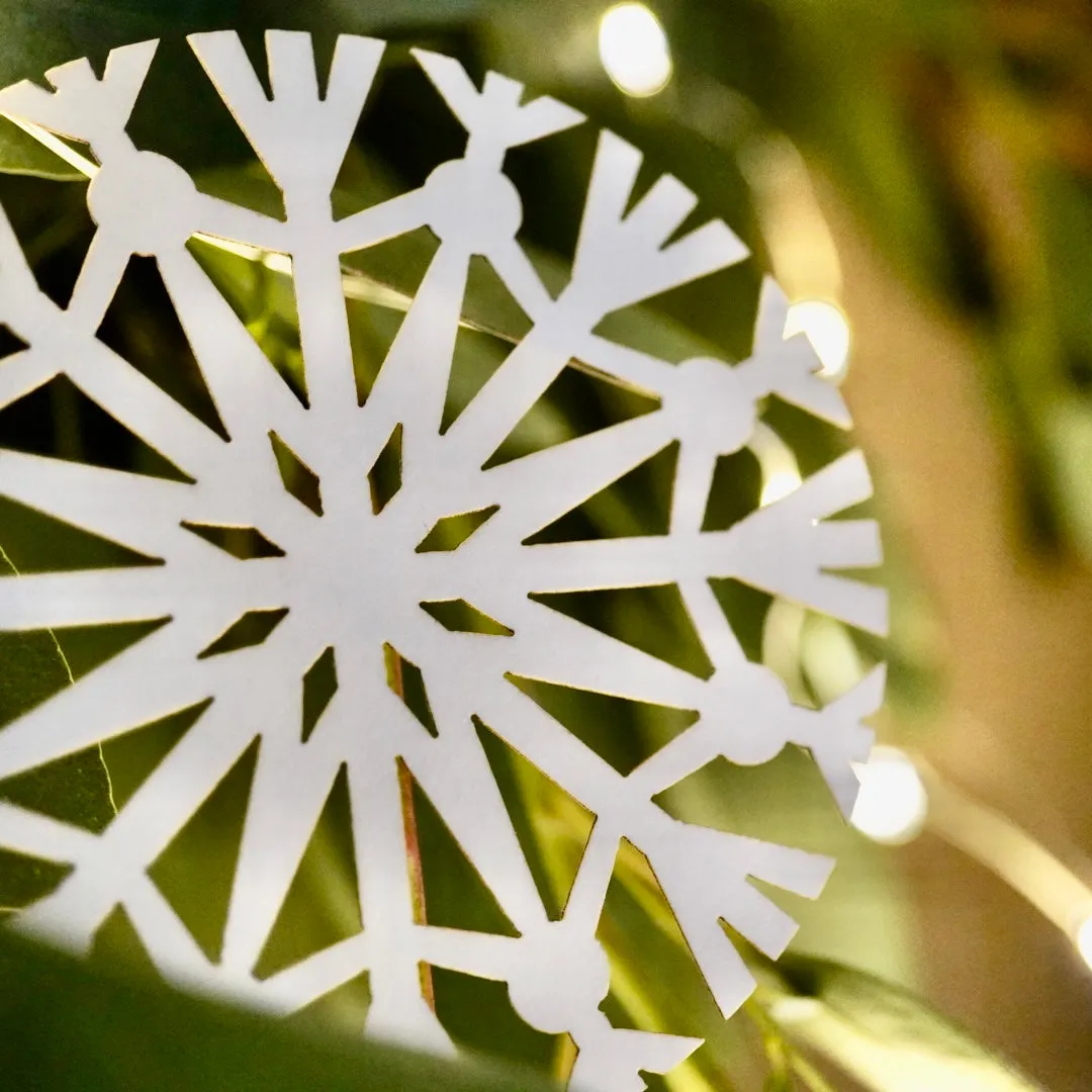 Eighteen Paper Snowflakes