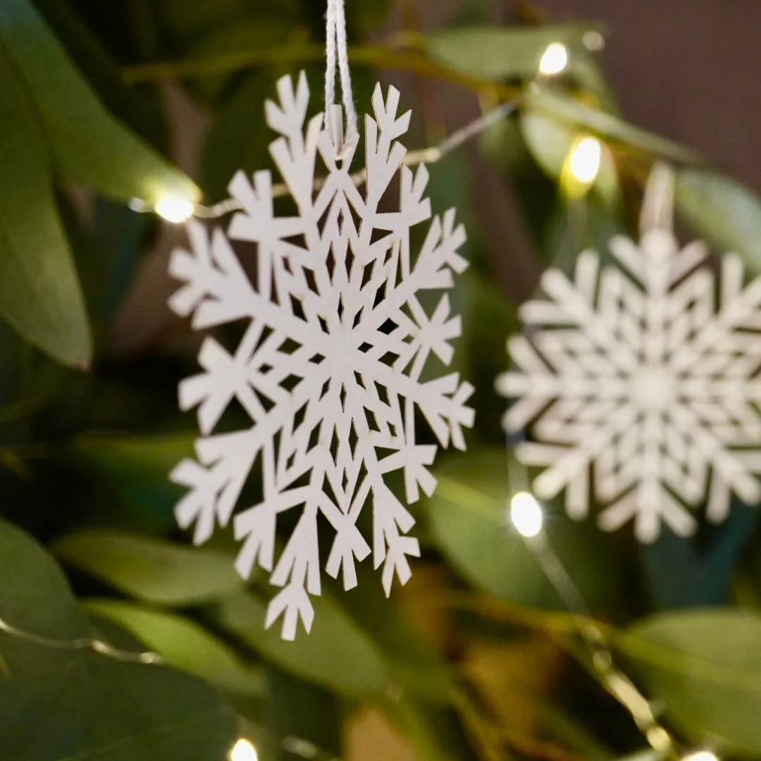 Eighteen Paper Snowflakes