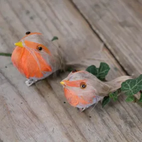 Feather Robin Decoration