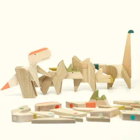 Game of Dinosaurs Magnetic Wooden Toys