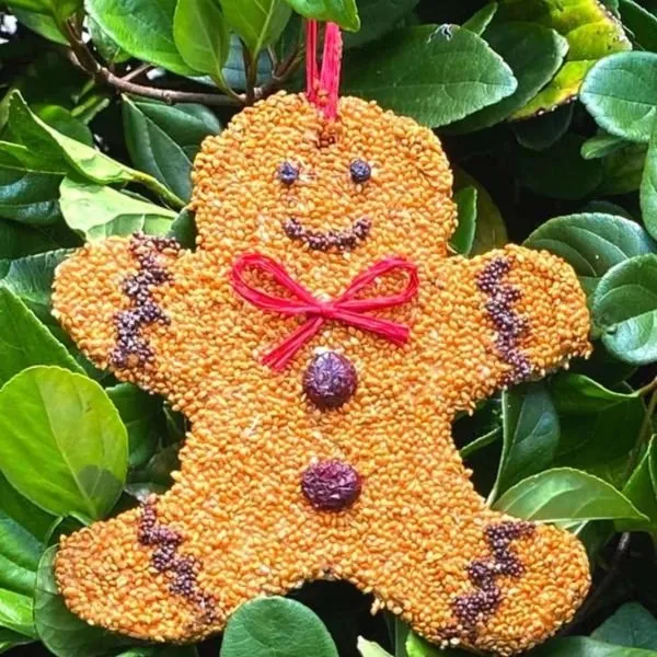 Gingerbread Bird Cookie