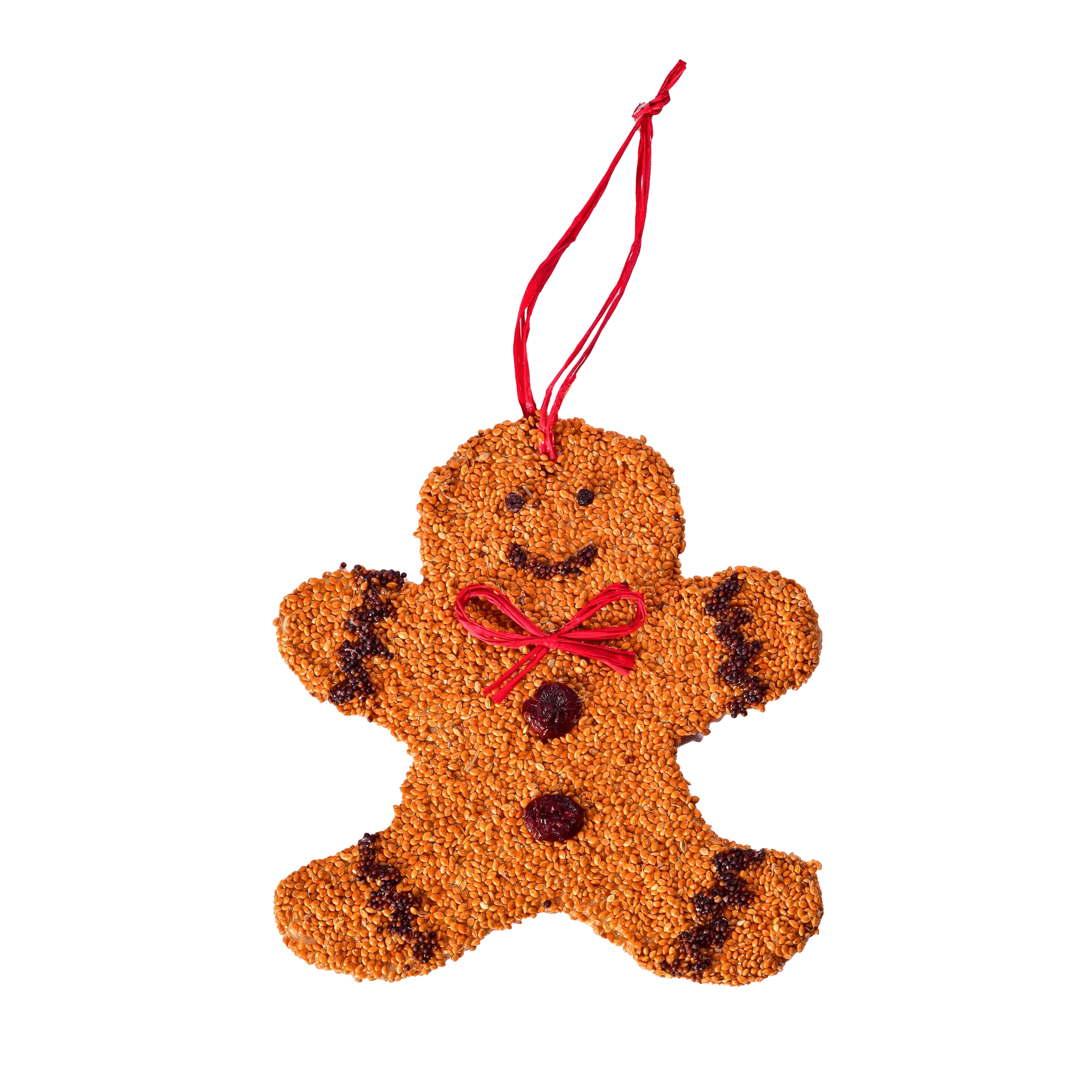 Gingerbread Bird Cookie