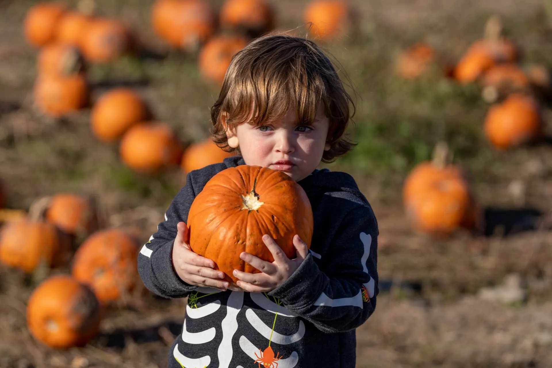 Halloween on the Farm