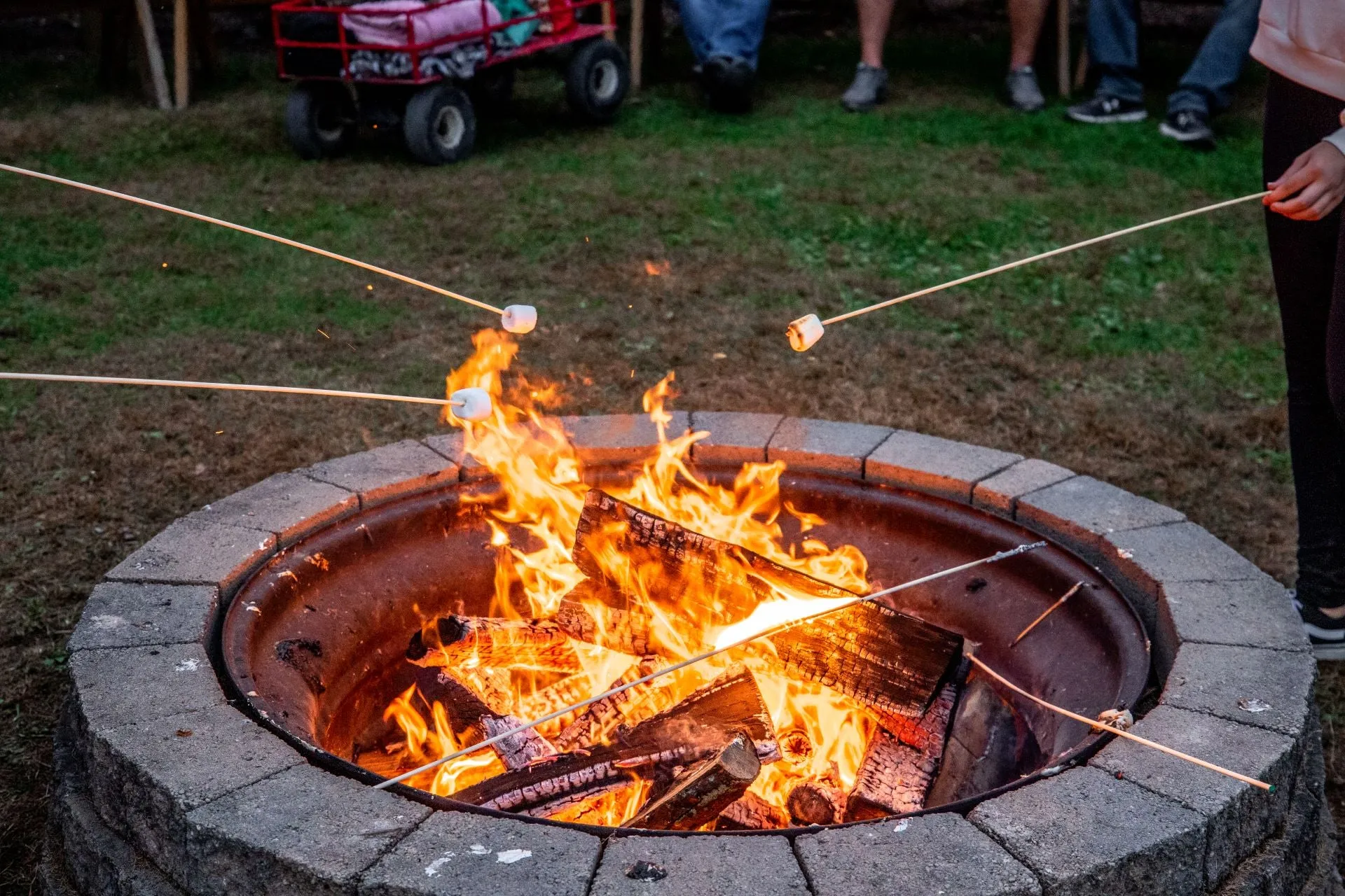 Halloween on the Farm