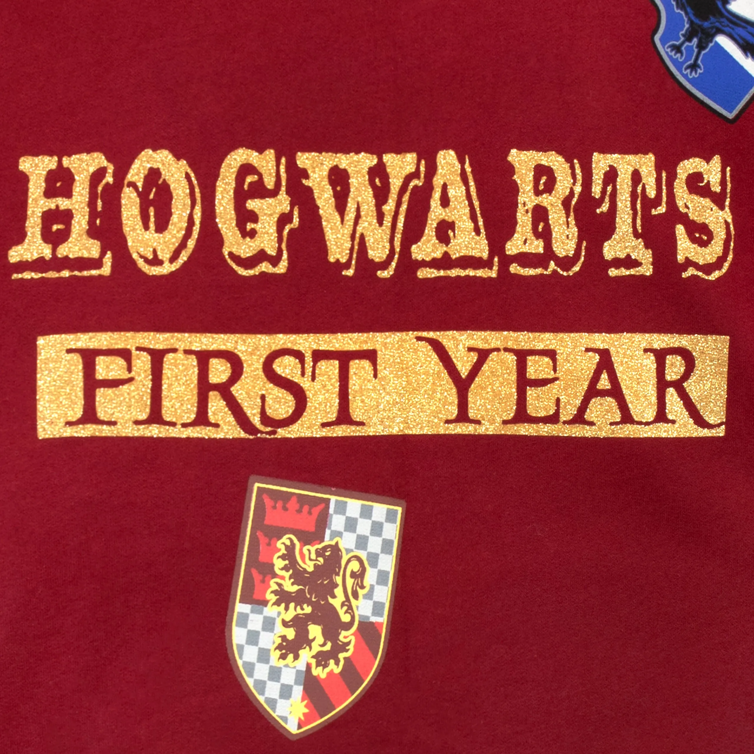 Harry Potter Hogwarts Sweatshirt