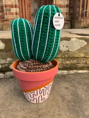 Hooked and Hung Crochet Cactus plant in hand painted pot