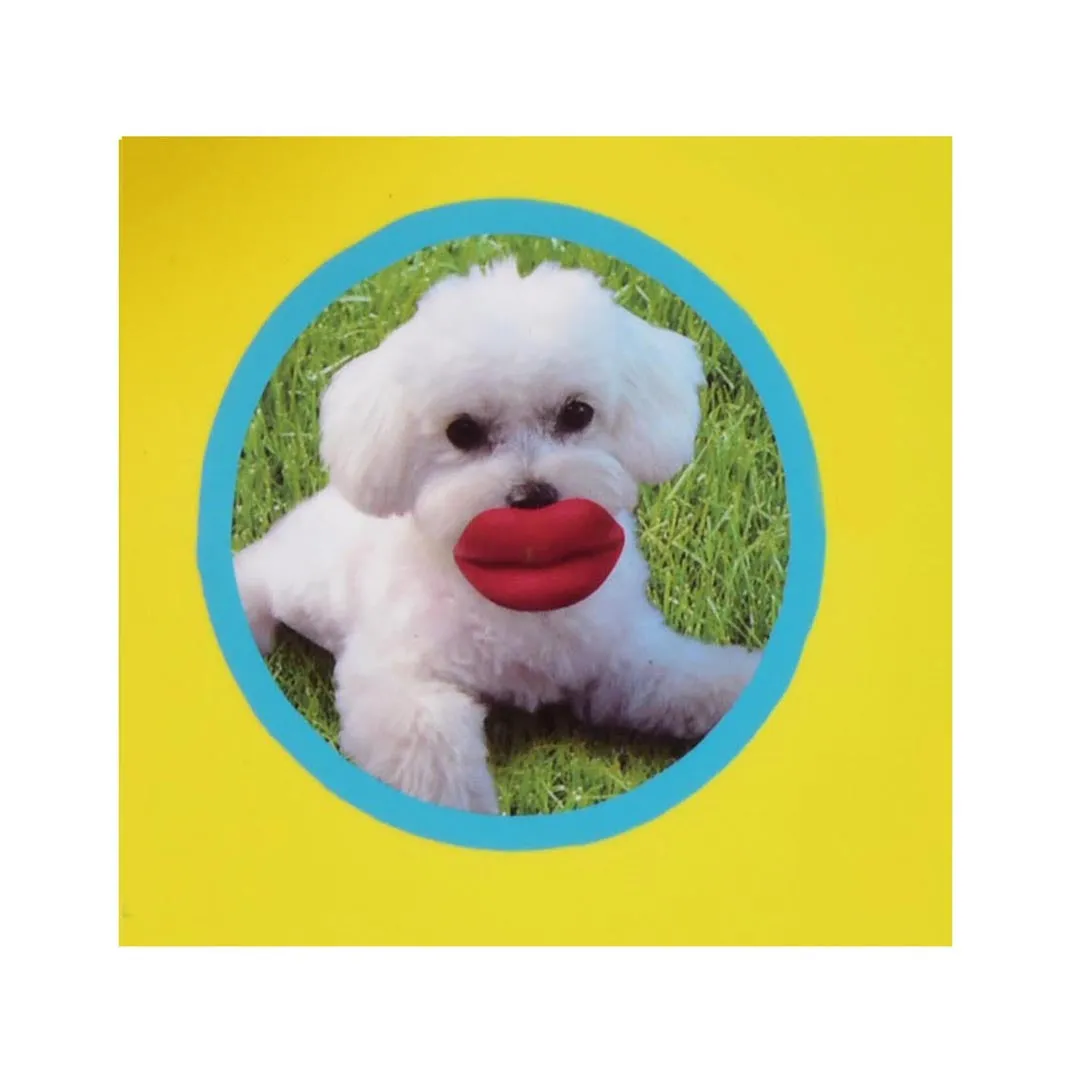 HUMUNGA LIPS SQUEAK FLOAT FETCH DOG TOY