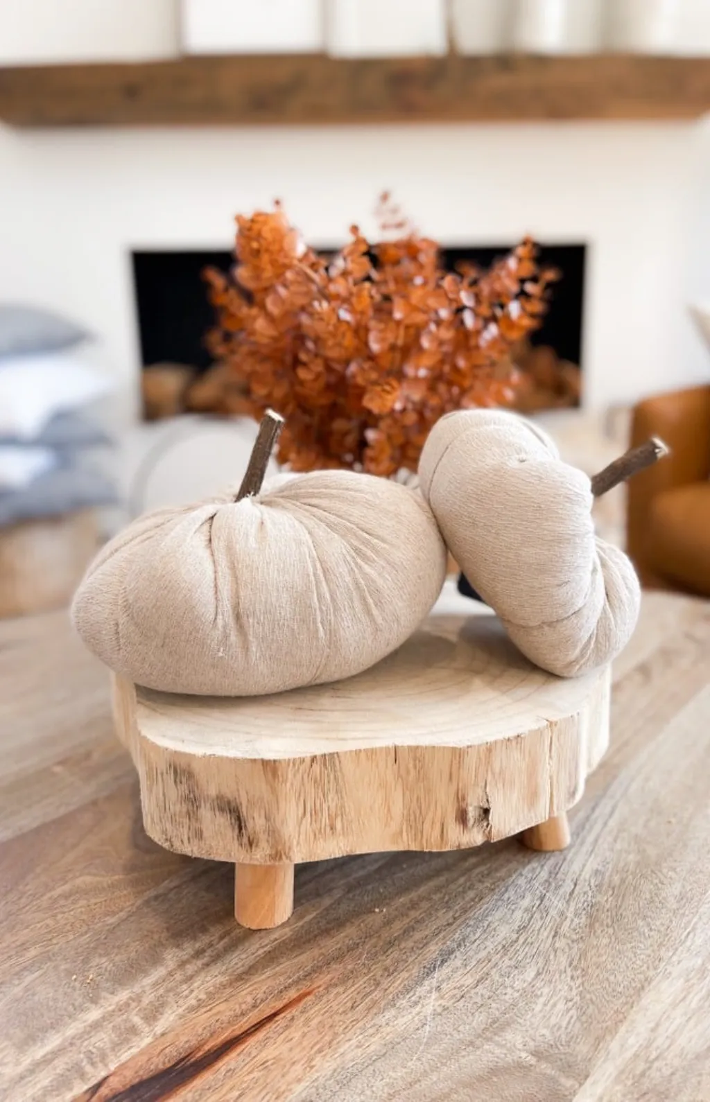 Light Mocha Fabric Pumpkin