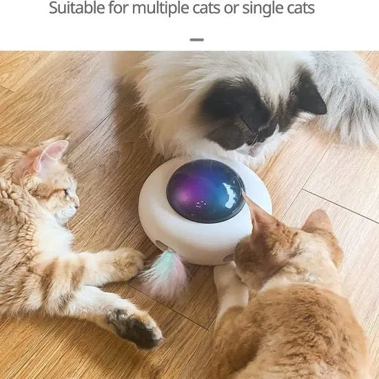 Magic Saucer Cat Toy