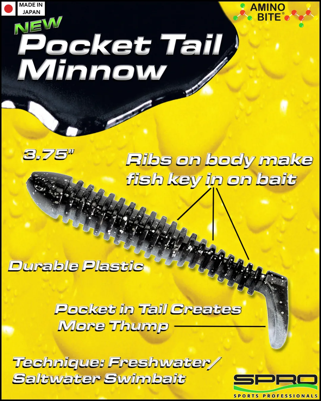 POCKET TAIL MINNOW