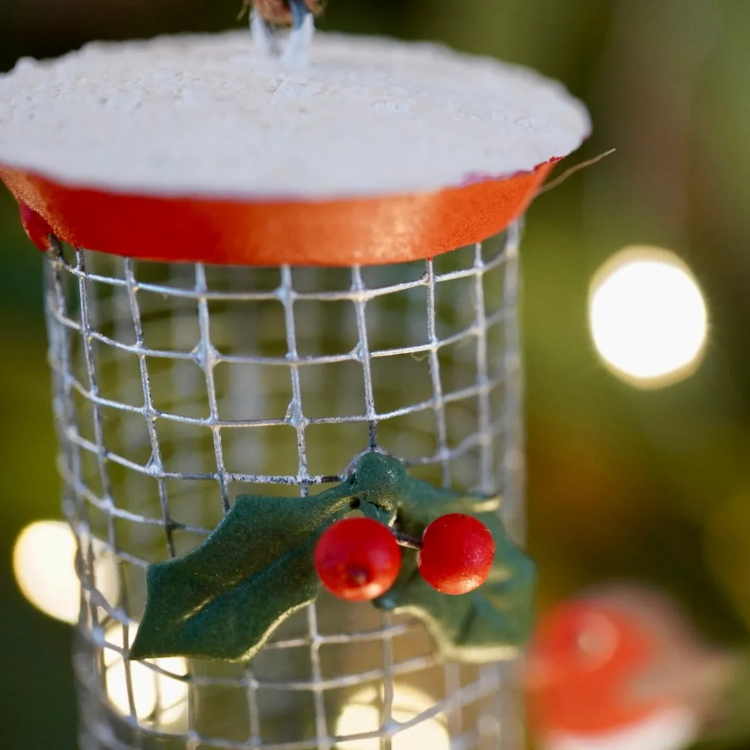 Robins on the Bird Feeder