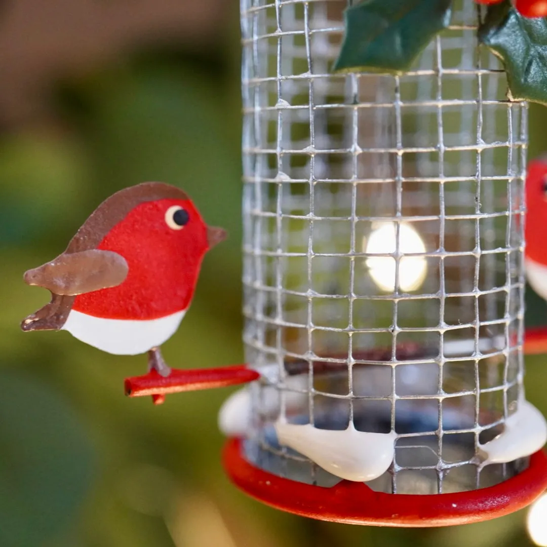 Robins on the Bird Feeder