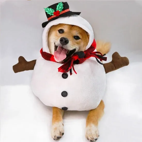 Snowman Costume